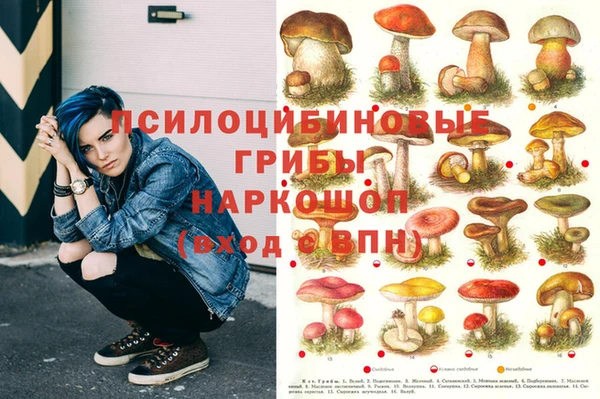 jwh Беломорск