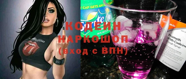 прущий лед Богданович