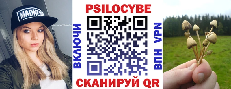 Галлюциногенные грибы мухоморы  дарнет шоп  Щёкино 